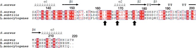 FIGURE 7.