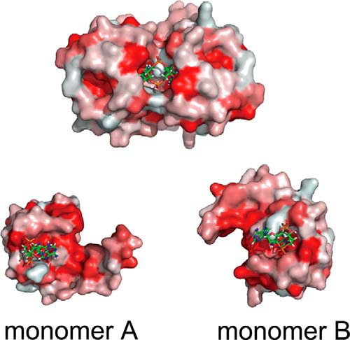 FIGURE 4.