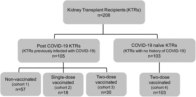 Figure 1: