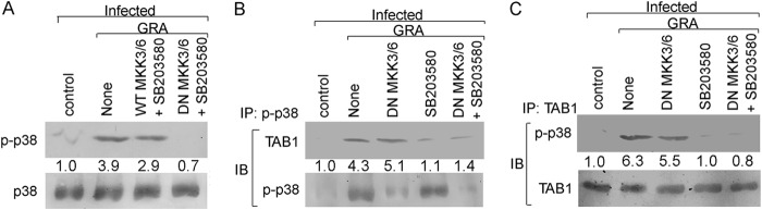 FIG 4