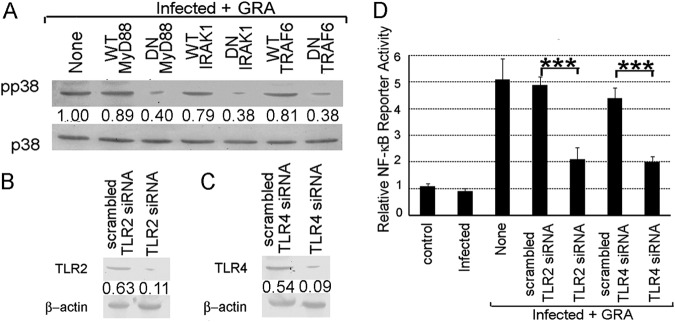 FIG 6