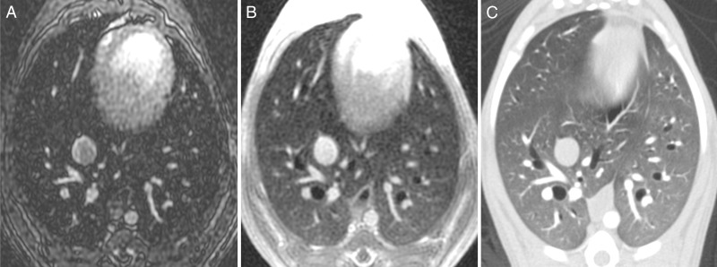 Figure 4: