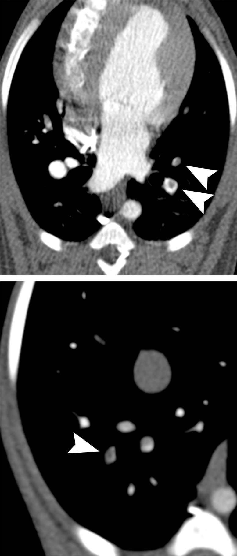 Figure 1c: