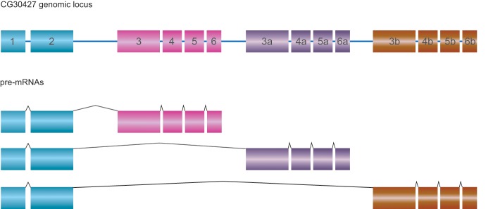 Fig. 3.