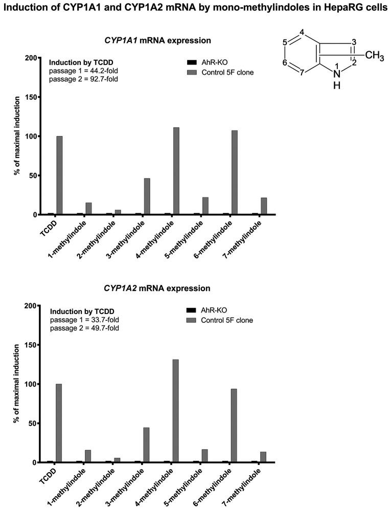 Mono-methylindoles induce CYP1A genes and inhibit CYP1A1 enzyme ...