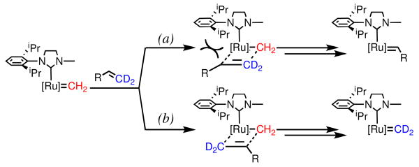 Scheme 3