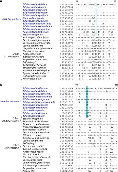 Fig 13