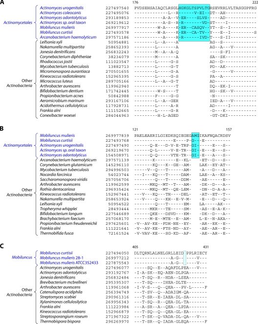 Fig 14