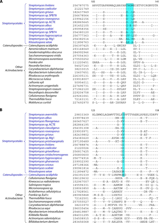 Fig 12