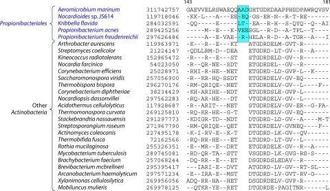 Fig 16