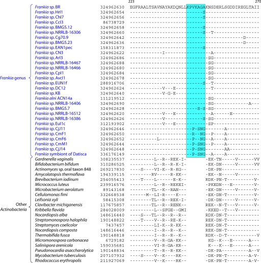 Fig 10