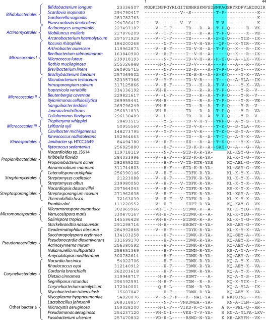 Fig 17