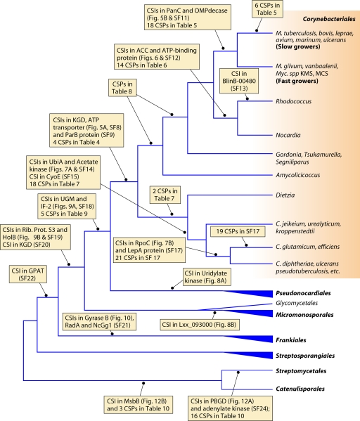 Fig 11