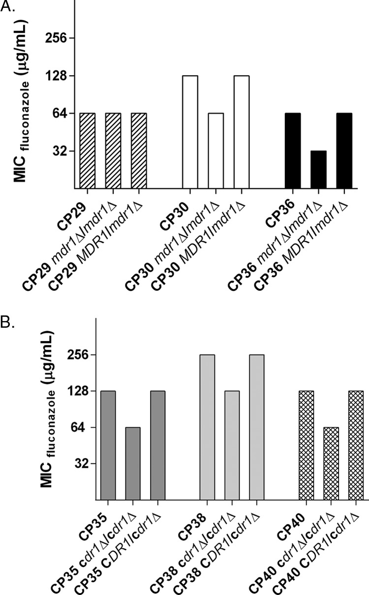 FIG 2