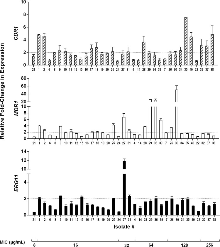 FIG 1