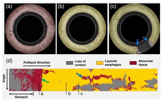 Fig. 6