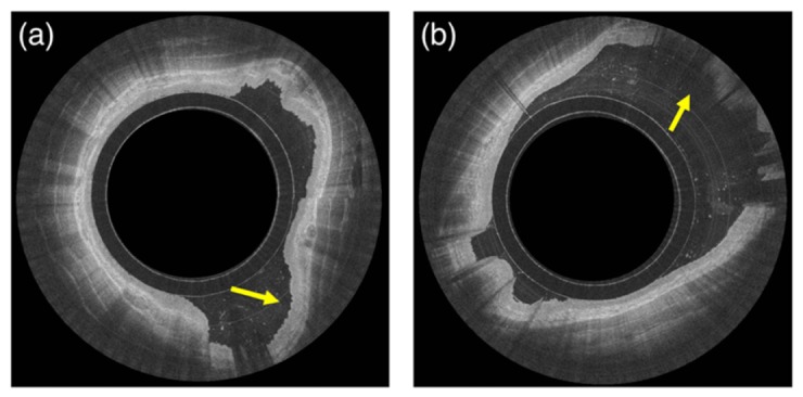 Fig. 7