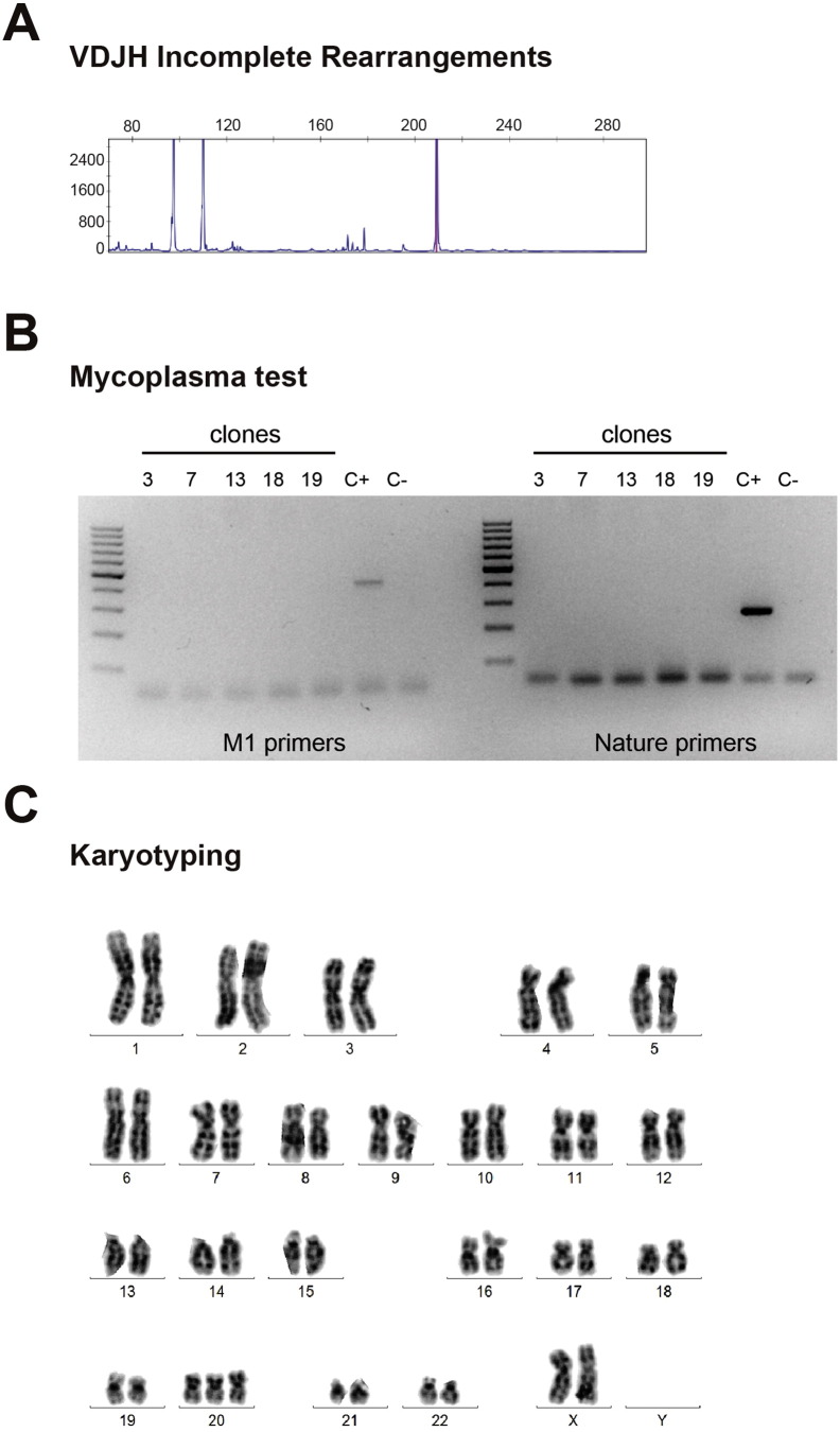 Supplementary Fig. 1