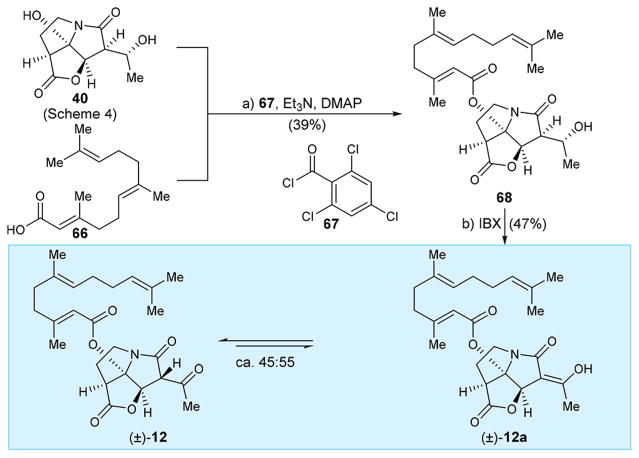 Scheme 8