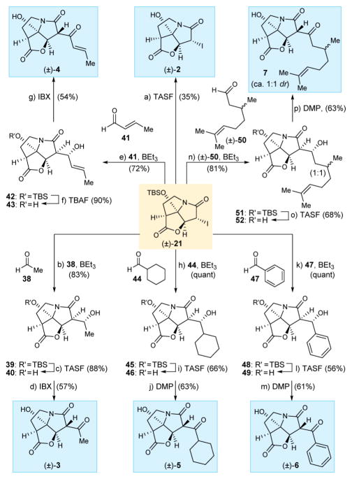 Scheme 4