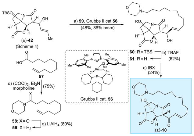 Scheme 6