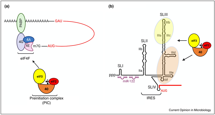 Fig 1: