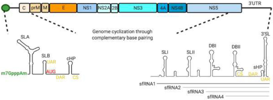 Fig 2: