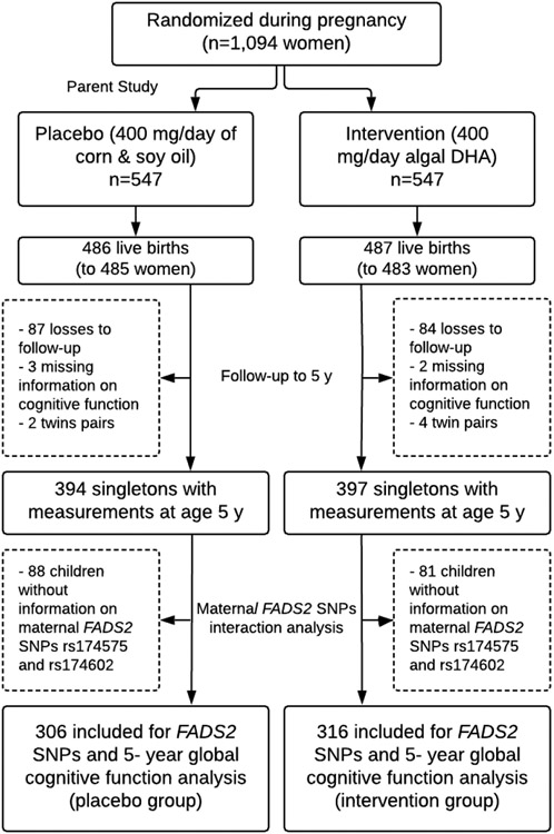 Figure 1: