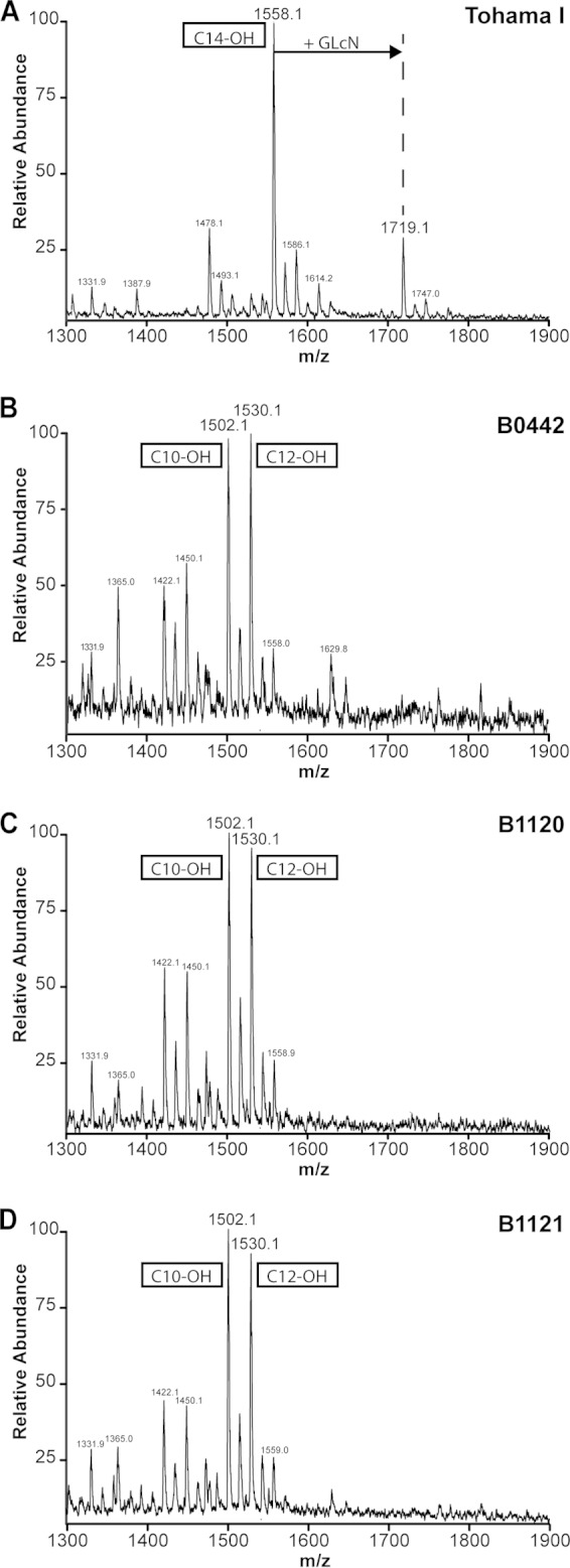 FIG 3