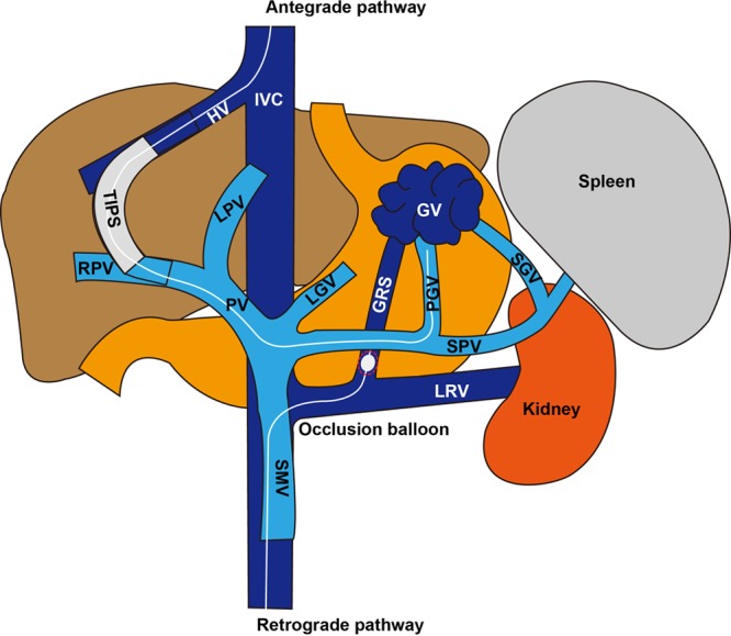 Fig. 2.