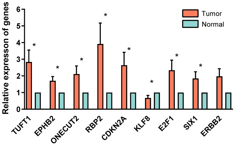 Figure 7