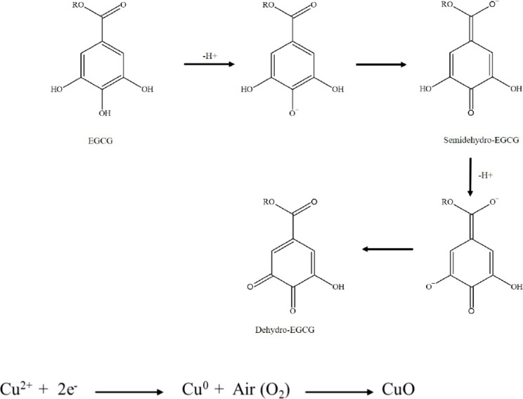 Figure 10