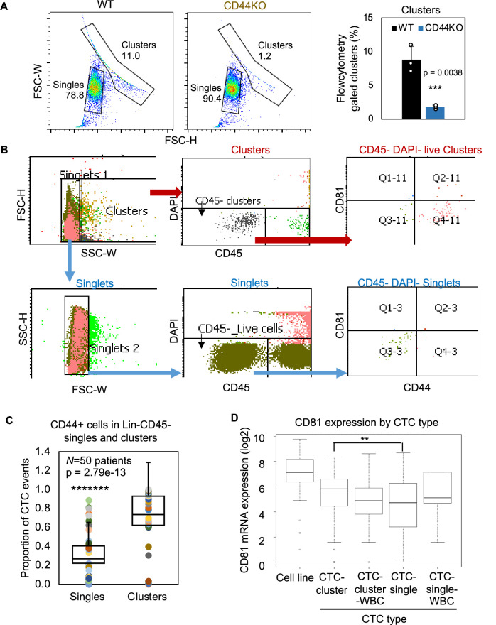 Figure 4—figure supplement 4.