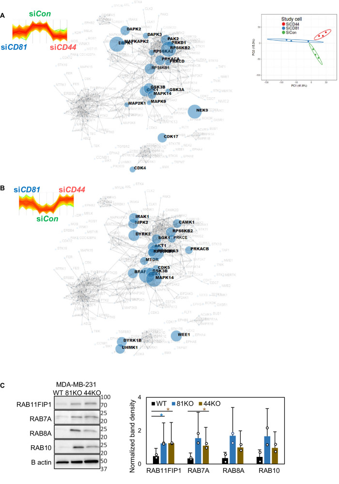 Figure 2—figure supplement 3.