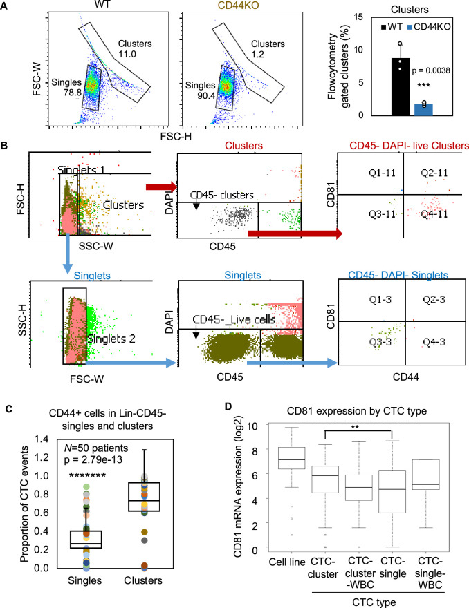 Figure 4—figure supplement 3.