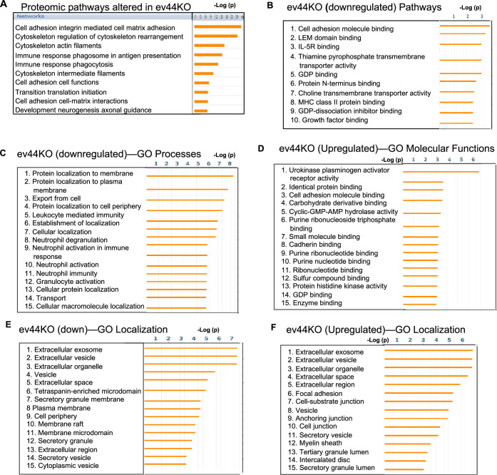 Figure 3—figure supplement 2.