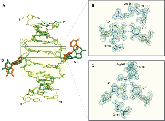 Figure 3.