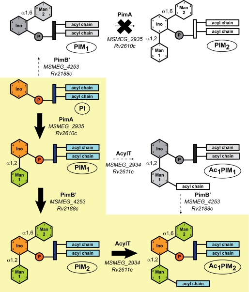 FIGURE 5.