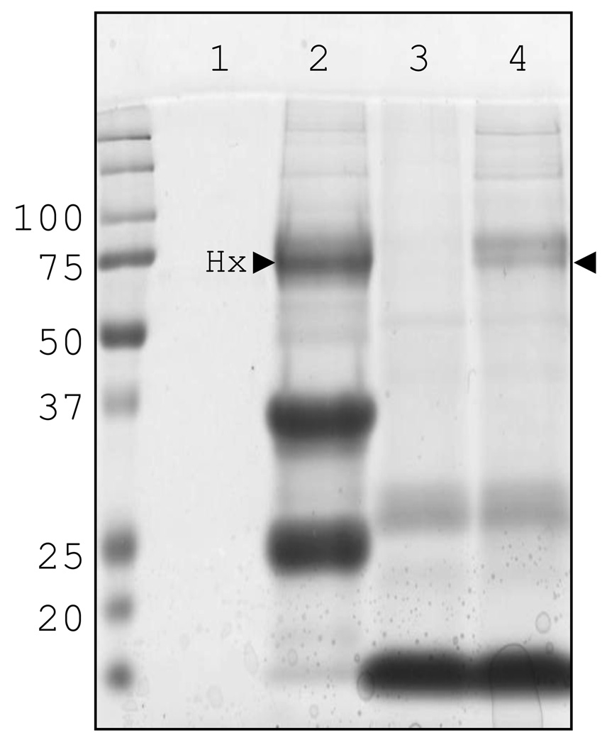 Fig. 4