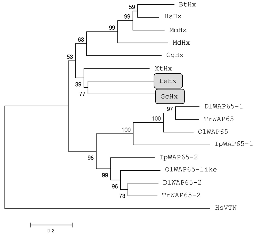 Fig. 5