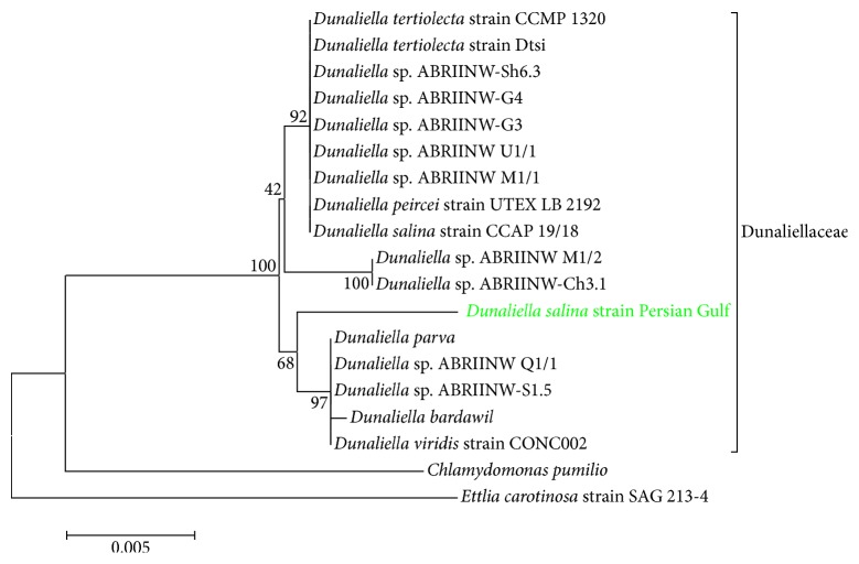 Figure 1