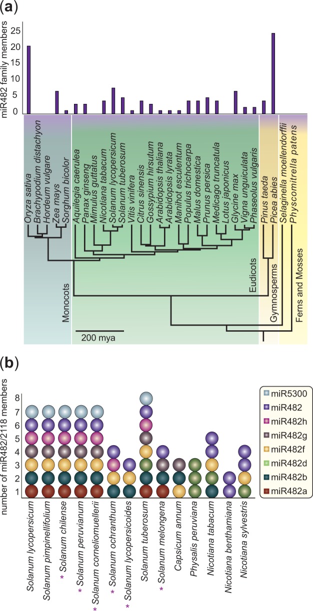 Fig. 1.—