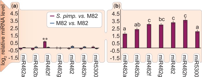 Fig. 6.—