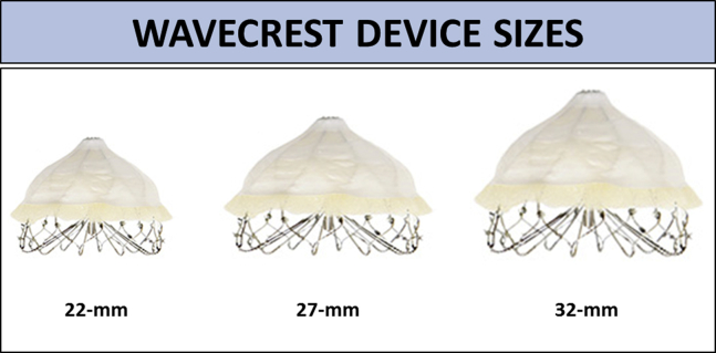 Figure 1