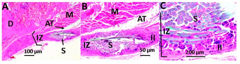 Figure 10