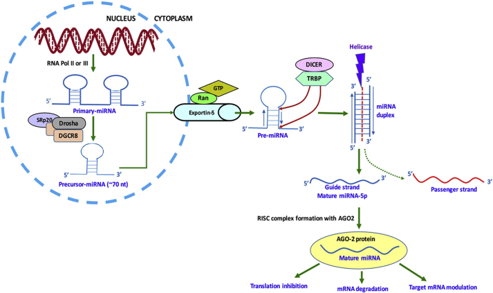 Figure 1