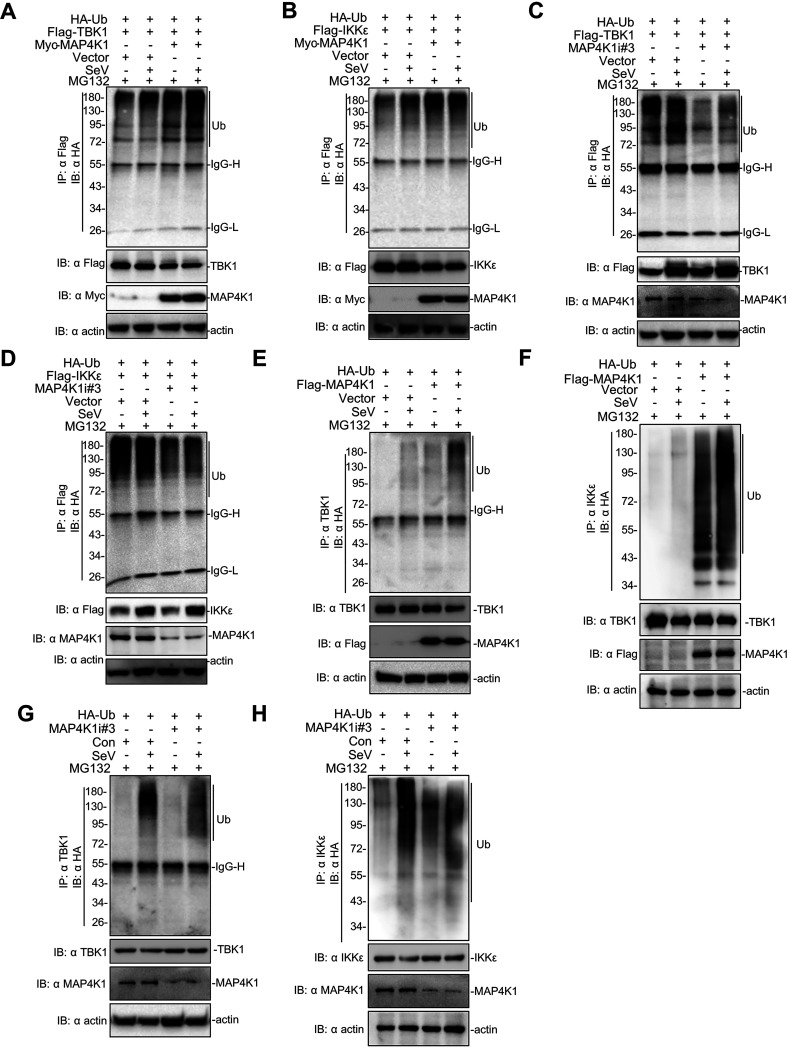 FIG 6