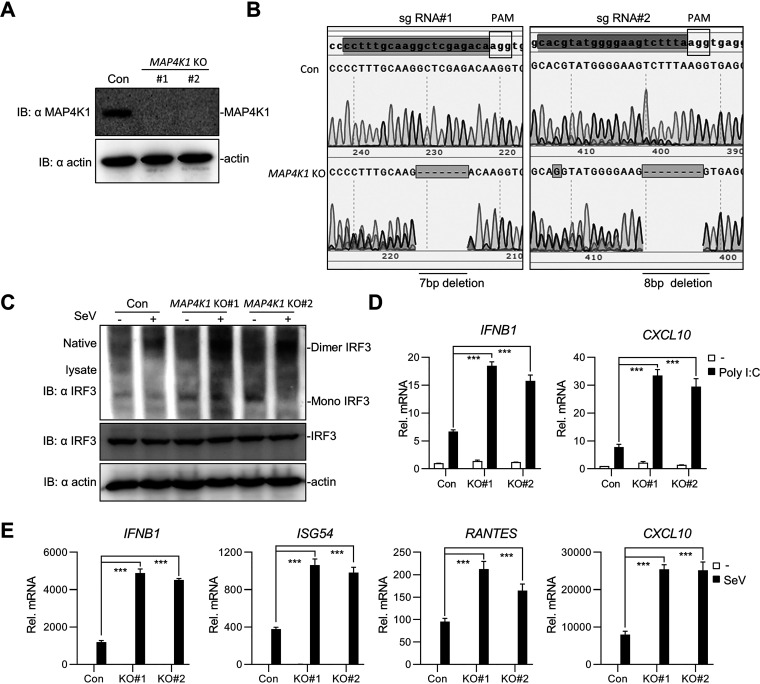 FIG 3