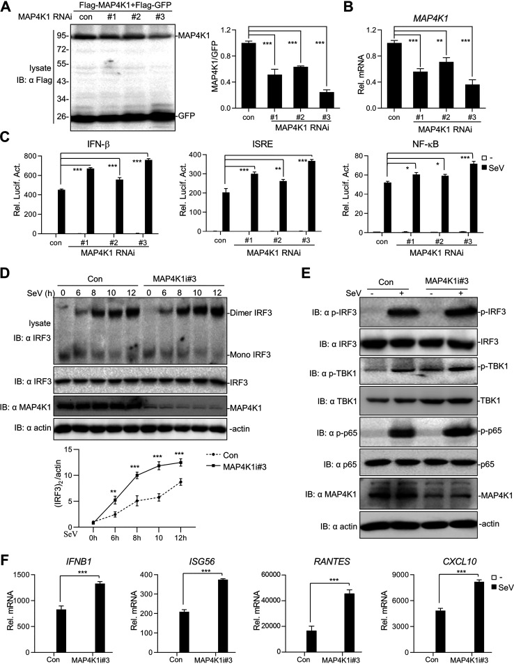 FIG 2