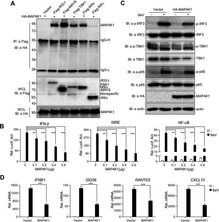 FIG 1